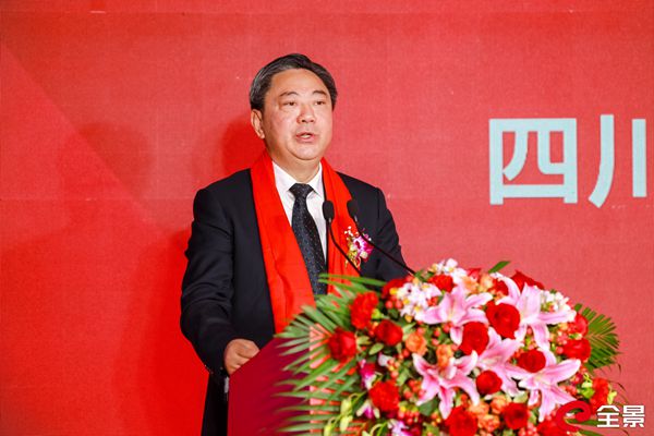 省自然资源厅党组成员、副厅长丁湘致辞_副本.jpg